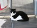 Thumbs/tn_23072010 072.jpg